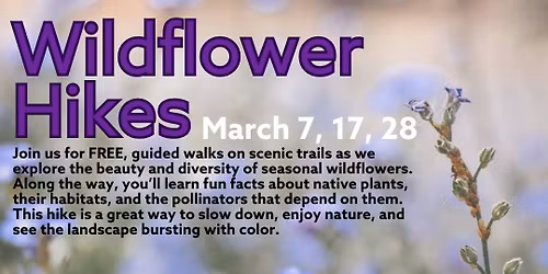 Spring Wildflower Adventure Hike at Sitton's Gulch