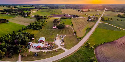Classic Car Show in the Vineyard