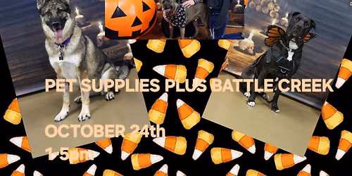 Halloween Photos