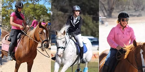 Working Equitation Clinic