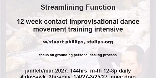 Streamlining Function 12 week contact improvisational dance movement training intensive 