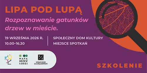 LIPA POD LUP\u0104. Rozpoznawanie gatunk\u00f3w drzew w mie\u015bcie
