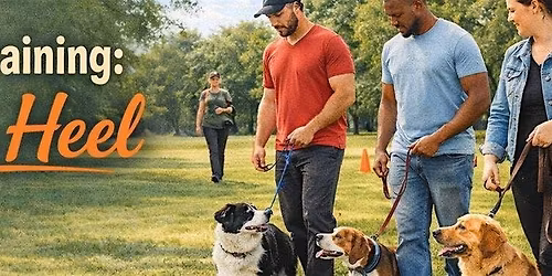 Basic Heel Group Dog Training Class