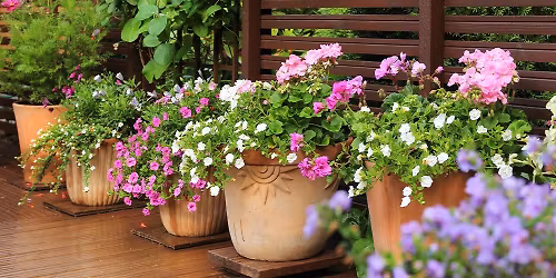 Flower Pot Planting & Decorating - DSAW Fox Cities