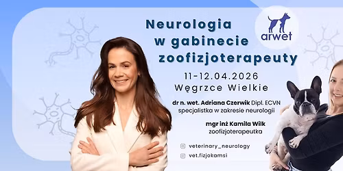 Neurologia w gabinecie zoofizjoterapeuty \ud83e\udde0