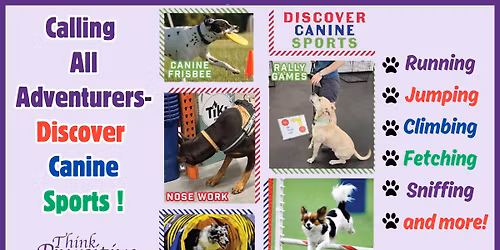 Discover Canine Sports