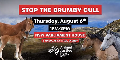 Stop The Brumby Cull Rally