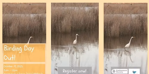Launceston birding day out