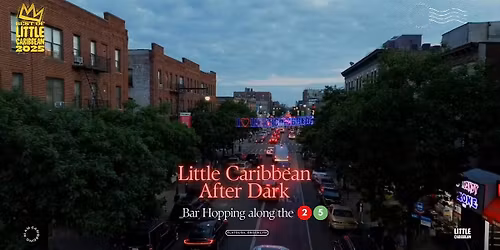 Little Caribbean After Dark Bar Hop