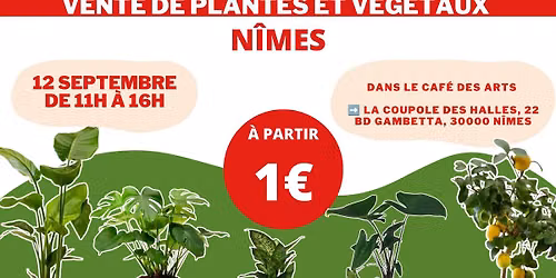 N\u00ceMES - V\u00e9g\u00e9taux et Plantes \u00e0 partir de 1\u20ac by Plantes Addict