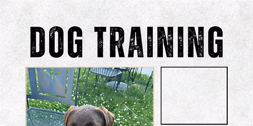 Peachy Hollow K9 Training