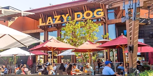 Spring Happy Hour-Lazy Dog at the Collection in Oxnard