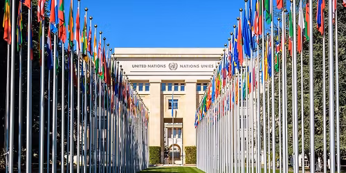 Christmas Demonstration \u2013 Geneva