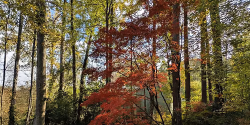 First Annual Friendsgiving and Music Jam