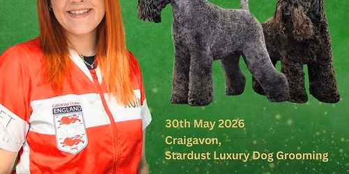 \u2728 Kerry Blue Terrier \u2013  with Connie Walker \u2728