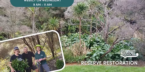 Longmead Reserve, Browns Bay - Volunteer Restoration Morning