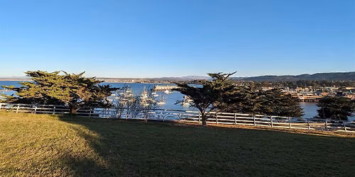 Monterey Fisherman's Wharf and Presidio Scavenger Hunt Walking Tour & Game