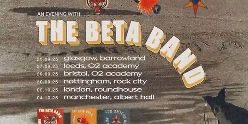 The Beta Band