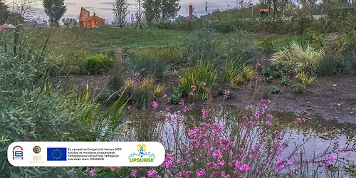 J\u00f3ll\u00e9t\u00fcnk alapja - az \u00e9l\u0151vil\u00e1g sokf\u00e9les\u00e9ge \u00e9s m\u0171k\u00f6d\u00e9se