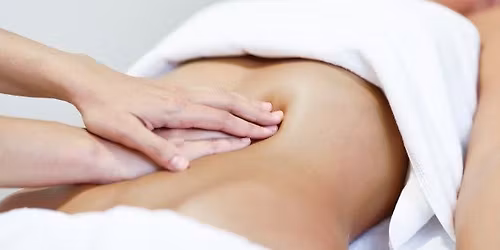 Curs - Introducere in Masajul Organelor Interne - QI NEI ZANG (MTC)