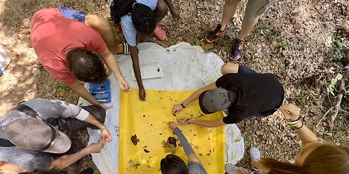 Save Our Streams Training - IWLA Rockville