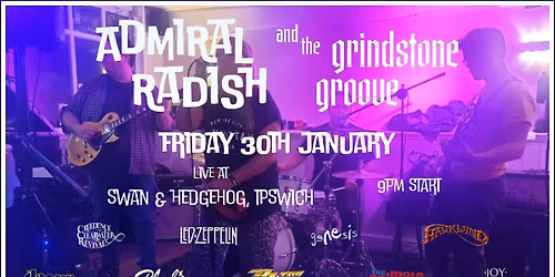 Live at the Swan and Hedgehog, Ipswich