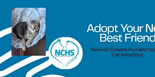 Petsmart Cat Adoptions