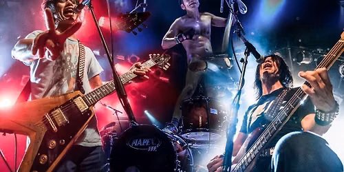 Electric Eel Shock