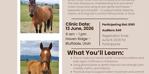 Senior Horse Wellness & Gentle Biomechanics