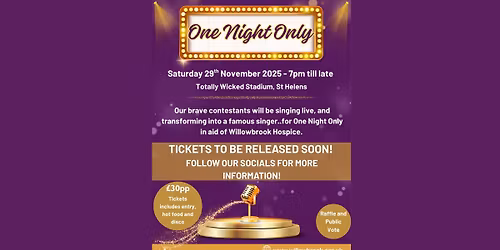 One Night Only