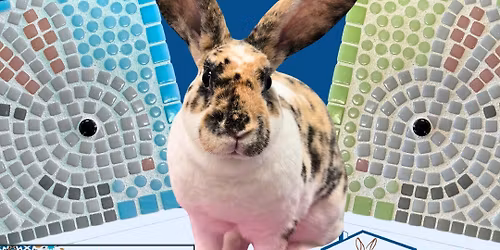 Tiny Tiles with House Rabbit Network!