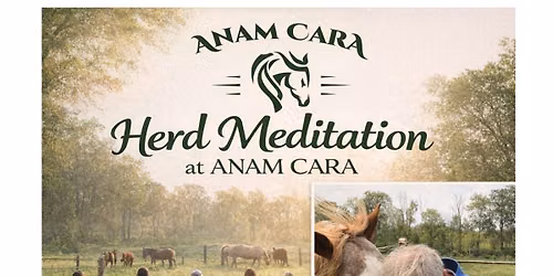 Herd Meditation at Anam Cara