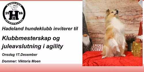 Klubbmesterskap i Agility \ud83c\udfc6