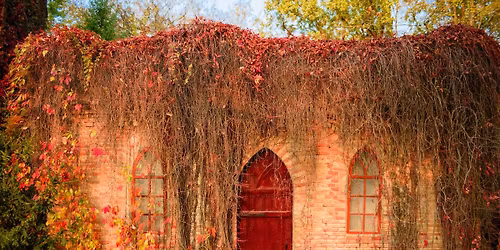 Old ways, new paths\n(Open the door to find yours) 