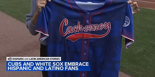 Chicago Cubs at Chicago White Sox at Rate Field