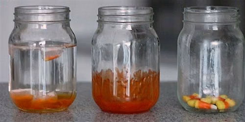 Halloween Science