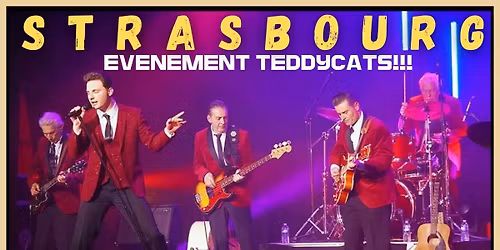 Les VINYLS a Strasbourg , (Rock n Twist , rockabilly )