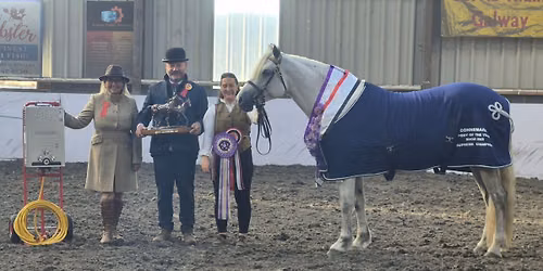 CONNEMARA PONY OF THE YEAR SHOW 