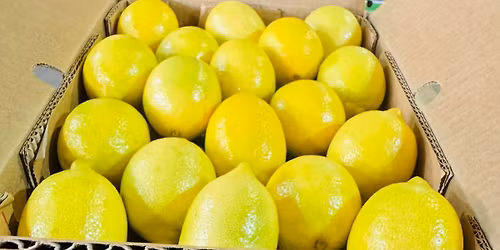 \u0628\u062f\u0627\u064a\u0629 \u062a\u0635\u062f\u064a\u0631 \u0627\u0644\u0645\u0648\u0627\u0644\u062d