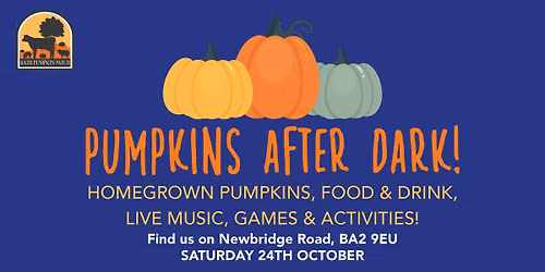 Pumpkins After Dark @ Bath Pumpkin Patch