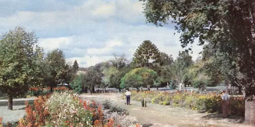 Reel History: Benalla\u2019s Story on Screen 