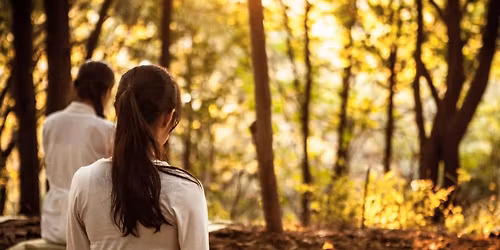 Settle into Fall- Slow Flow Yoga