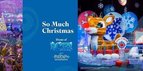 Christmas at Gaylord Palms celebration