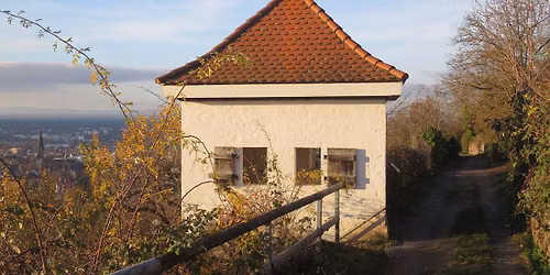 Weihnachts-Wanderung Ettlingen mit Abschluss auf dem Sternlesmarkt 