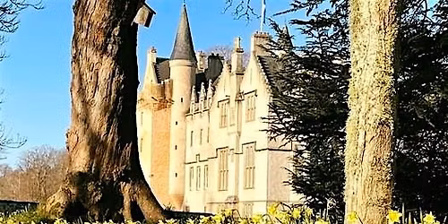 Tour: Daffodil Walk and Talk