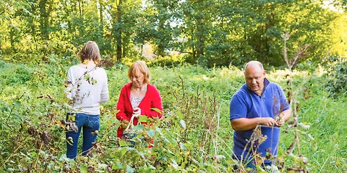 Balade "Plantes d'\u00e9t\u00e9" (Charleroi)