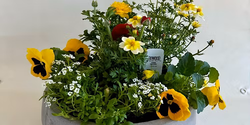 Spring Container Planting Workshop - Saturday