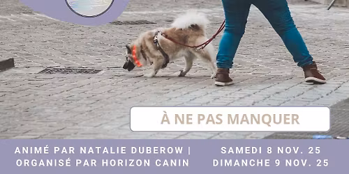 Nosework - Ateliers de remise \u00e0 niveau (Fay - 72)