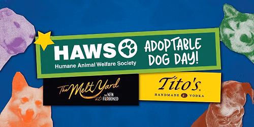 HAWS Adoptable Dog Day at The Melt Yard