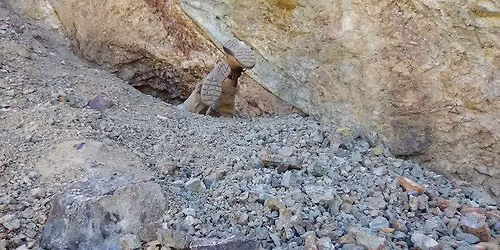 Morocco Mining Adventure Presentation and Sale